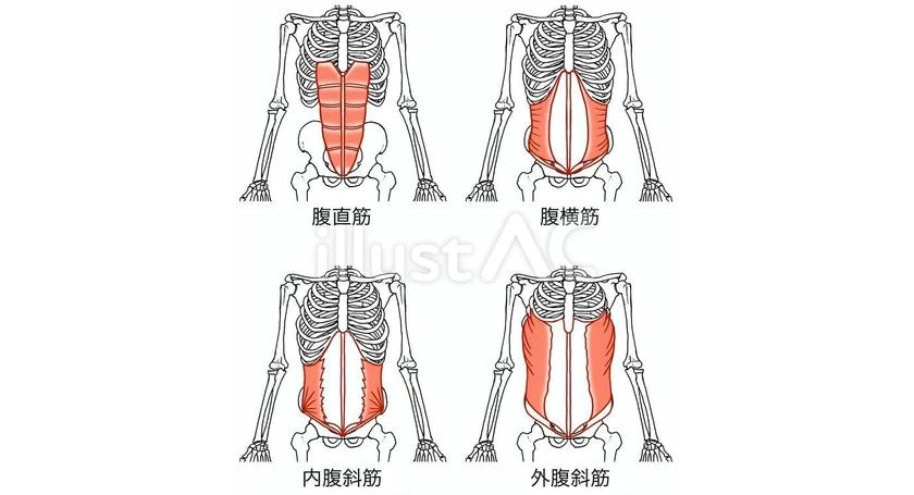 お腹まわりスッキリ♪姿勢が整い腰痛改善へ